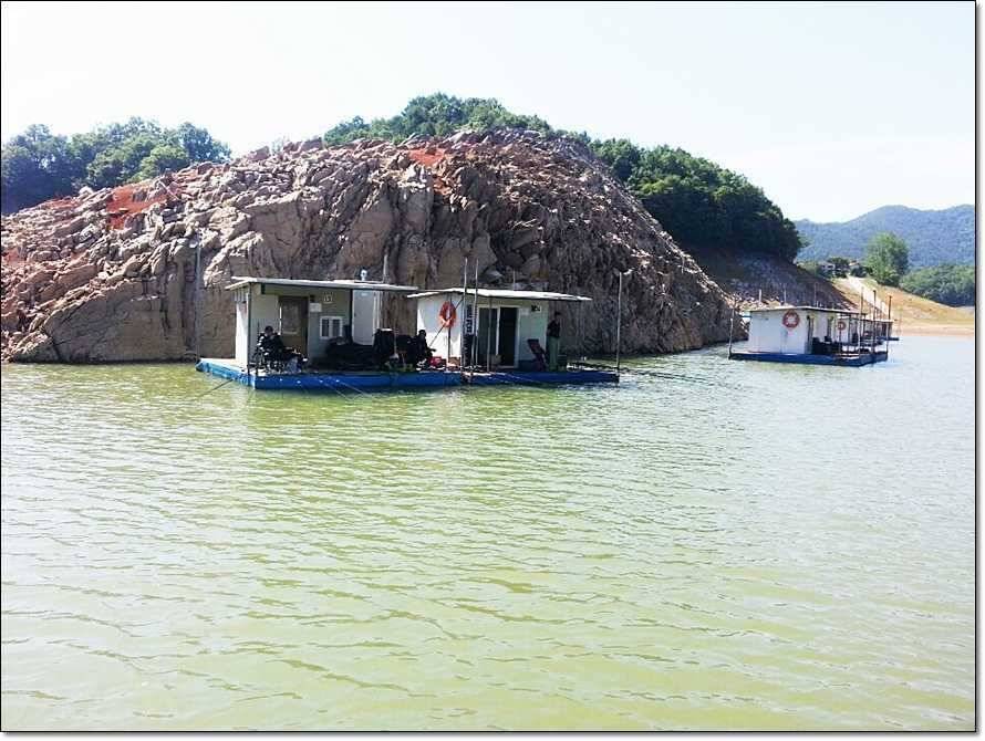 충주호 조황정보 및 수몰전 사진 (조황조행기 - 특파원조황)