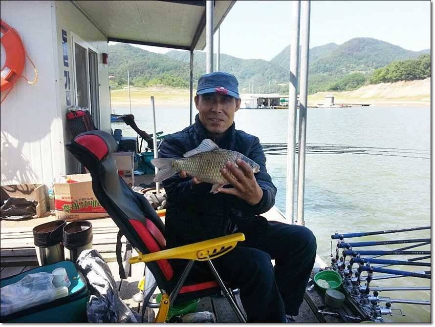 충주호 조황정보 및 수몰전 사진 (조황조행기 - 특파원조황)