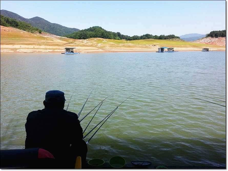 충주호 조황정보 및 수몰전 사진 (조황조행기 - 특파원조황)