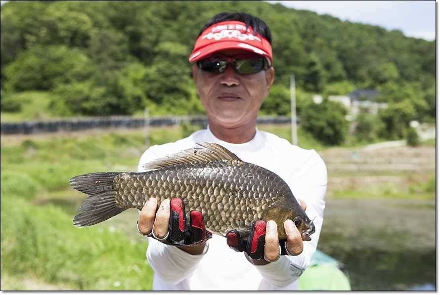 충주호 조황정보 및 수몰전 사진 (조황조행기 - 특파원조황)