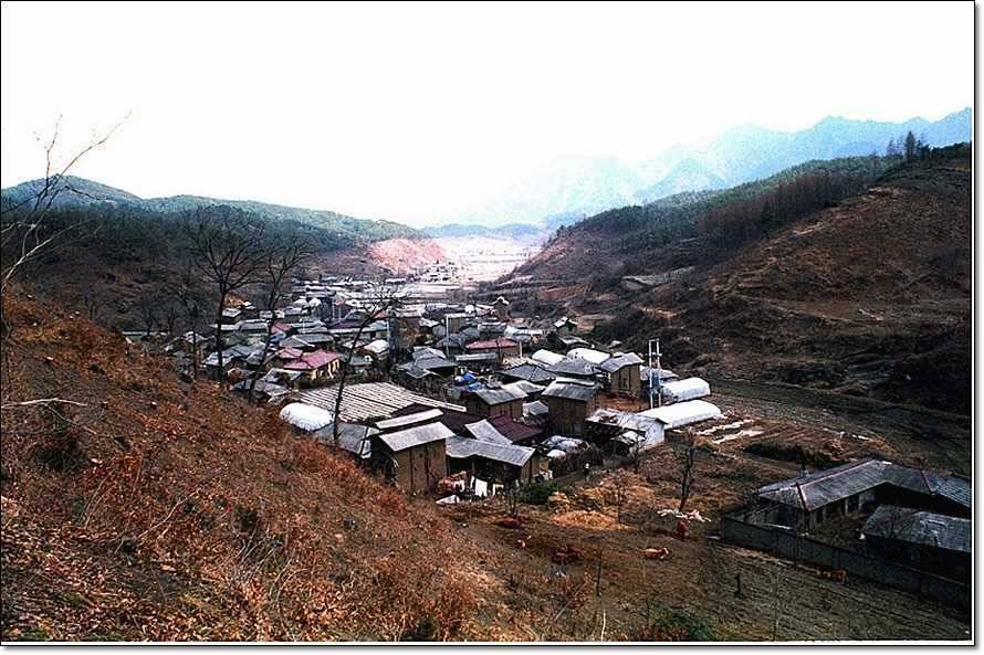 충주호 조황정보 및 수몰전 사진 (조황조행기 - 특파원조황)