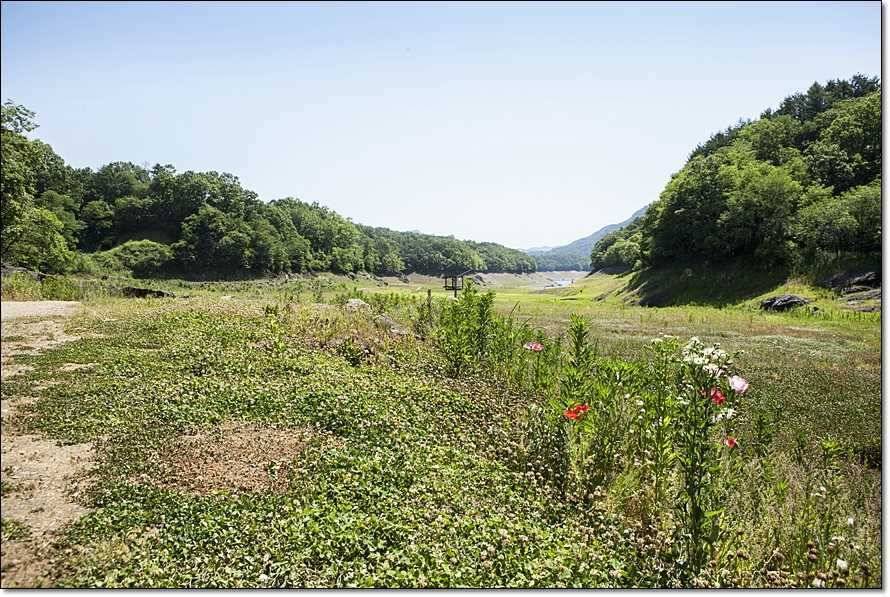 충주호 조황정보 및 수몰전 사진 (조황조행기 - 특파원조황)