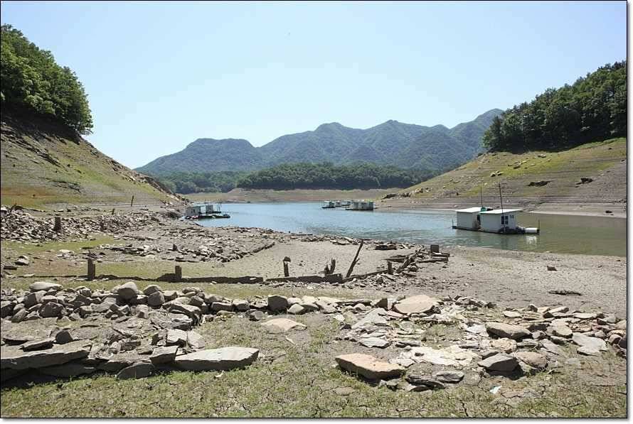 충주호 조황정보 및 수몰전 사진 (조황조행기 - 특파원조황)