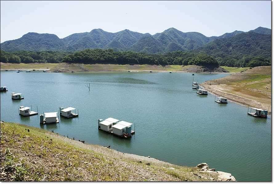 충주호 조황정보 및 수몰전 사진 (조황조행기 - 특파원조황)