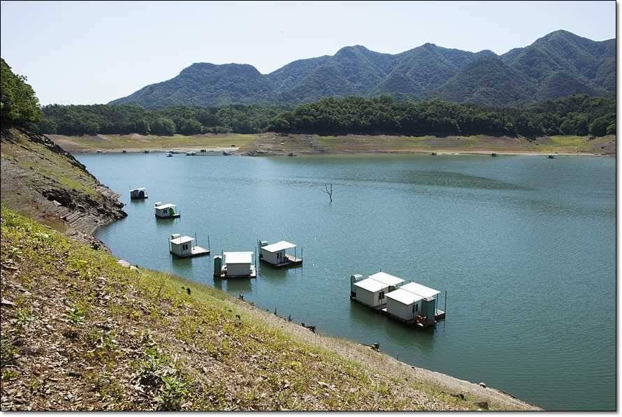 충주호 조황정보 및 수몰전 사진 (조황조행기 - 특파원조황)