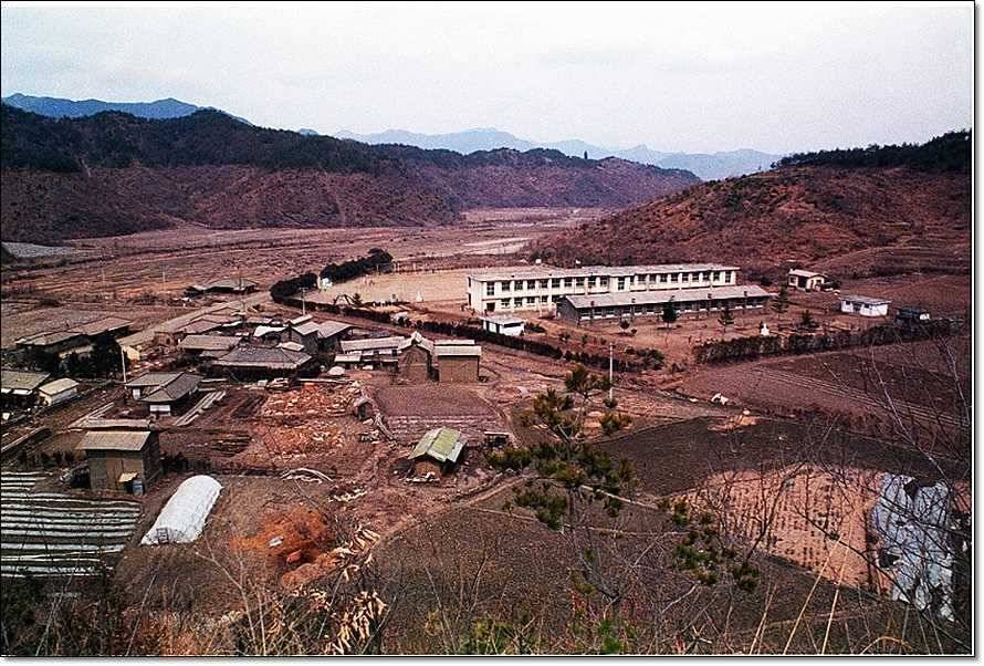 충주호 조황정보 및 수몰전 사진 (조황조행기 - 특파원조황)