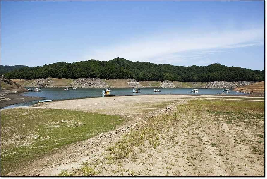 충주호 조황정보 및 수몰전 사진 (조황조행기 - 특파원조황)