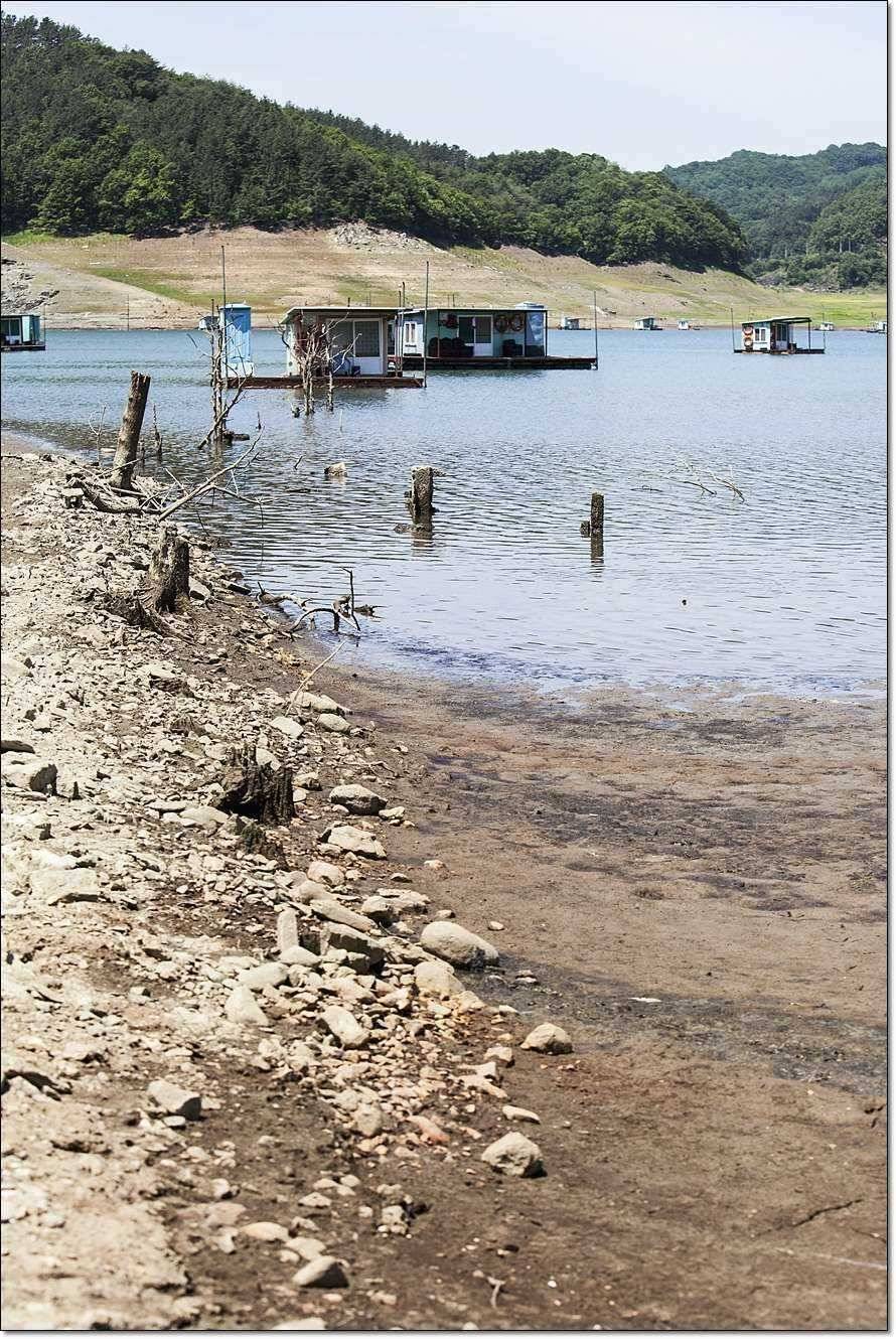 충주호 조황정보 및 수몰전 사진 (조황조행기 - 특파원조황)