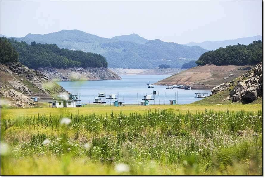 충주호 조황정보 및 수몰전 사진 (조황조행기 - 특파원조황)