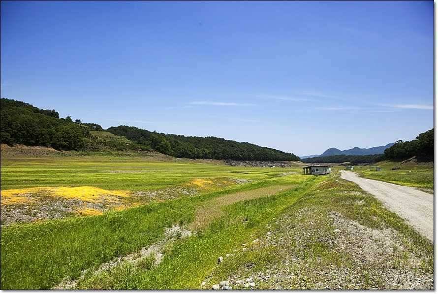 충주호 조황정보 및 수몰전 사진 (조황조행기 - 특파원조황)