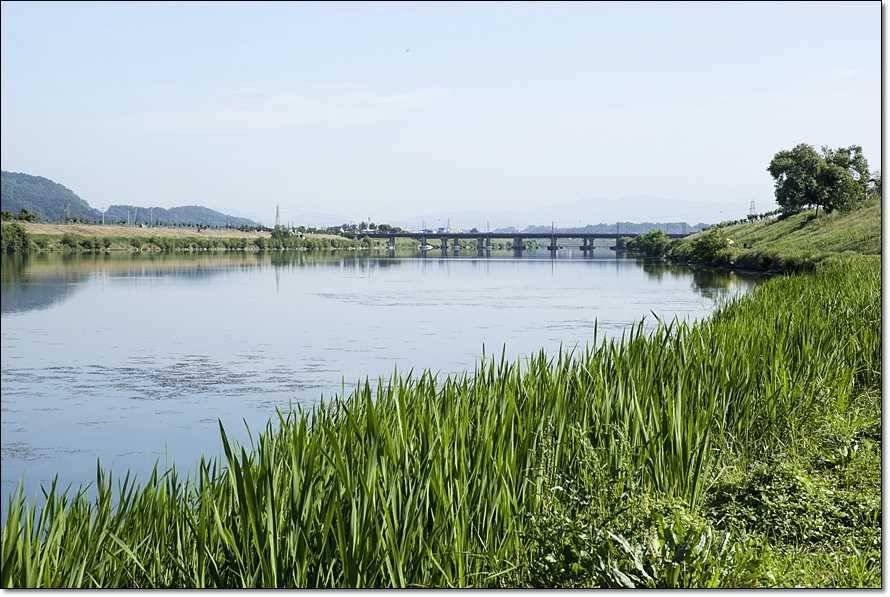 충주호 조황정보 및 수몰전 사진 (조황조행기 - 특파원조황)