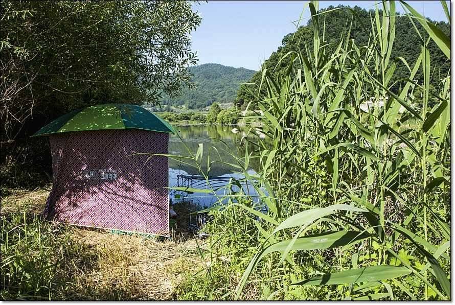 충주호 조황정보 및 수몰전 사진 (조황조행기 - 특파원조황)