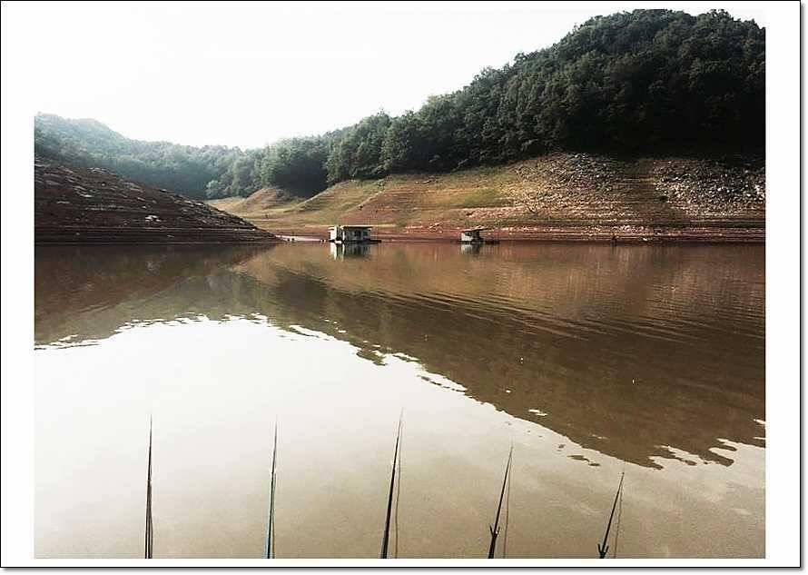 충주호 사짜월척 (조황조행기 - 특파원조황)