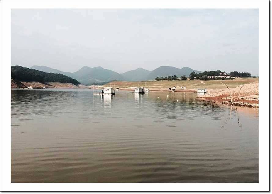 충주호 사짜월척 (조황조행기 - 특파원조황)
