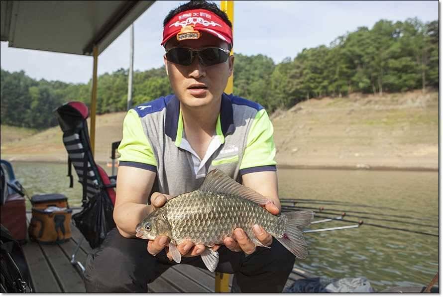 충주호 사짜월척 (조황조행기 - 특파원조황)