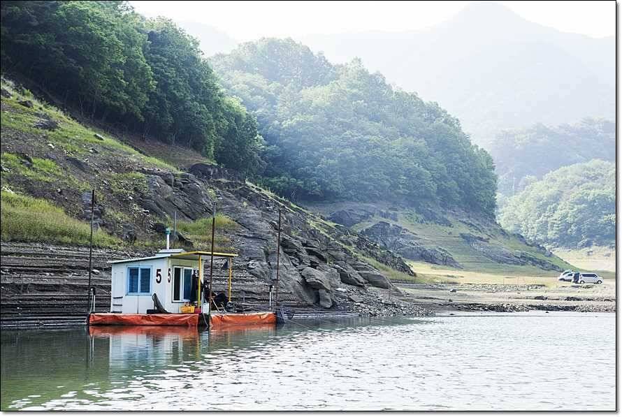 충주호 사짜월척 (조황조행기 - 특파원조황)