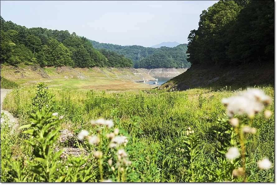 충주호 사짜월척 (조황조행기 - 특파원조황)