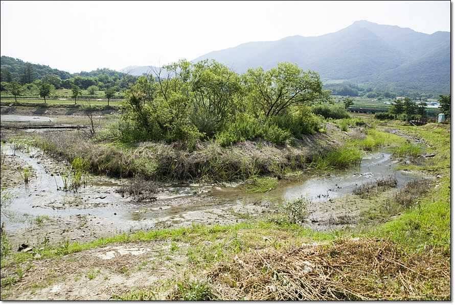 주변 저수지 현황 (조황조행기 - 특파원조황)
