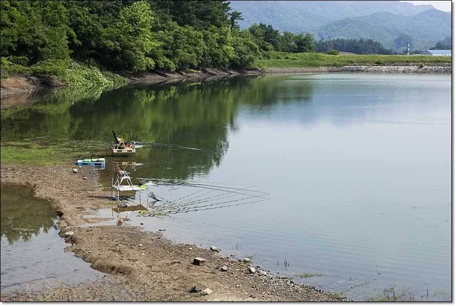 주변 저수지 현황 (조황조행기 - 특파원조황)