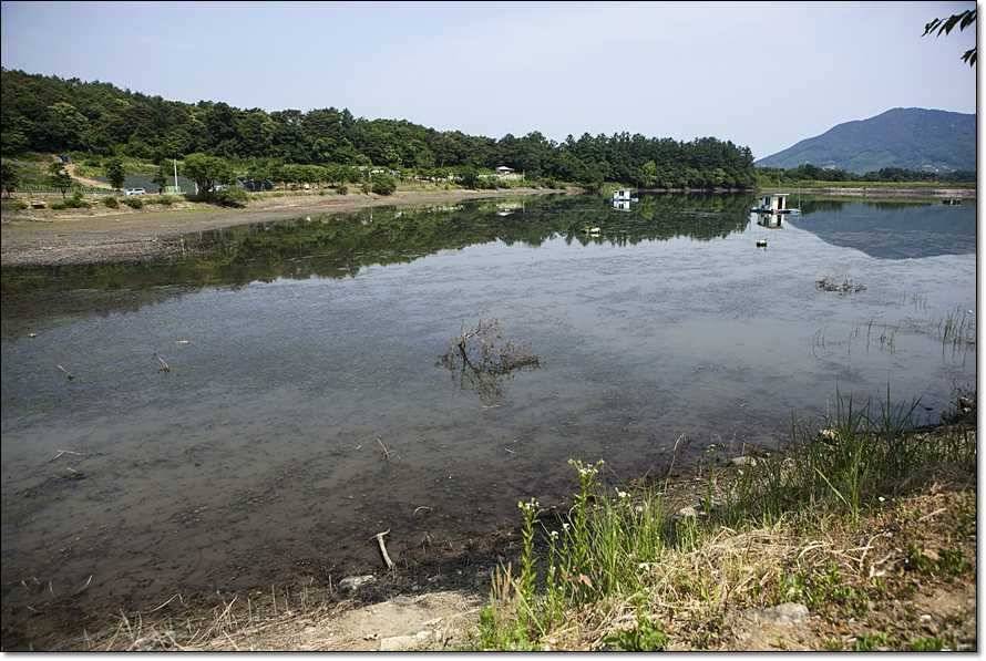 주변 저수지 현황 (조황조행기 - 특파원조황)