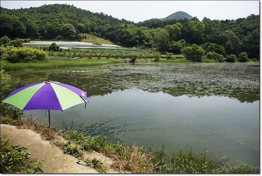 주변 저수지 현황 (조황조행기 - 특파원조황)