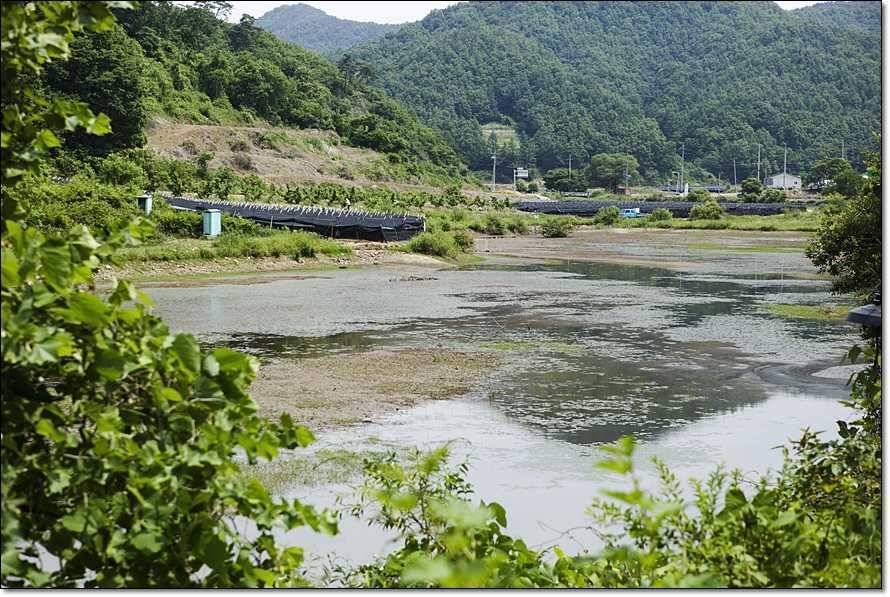 주변 저수지 현황 (조황조행기 - 특파원조황)