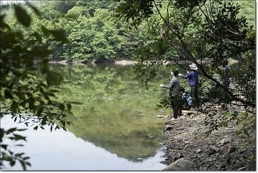 주변 저수지 현황 (조황조행기 - 특파원조황)