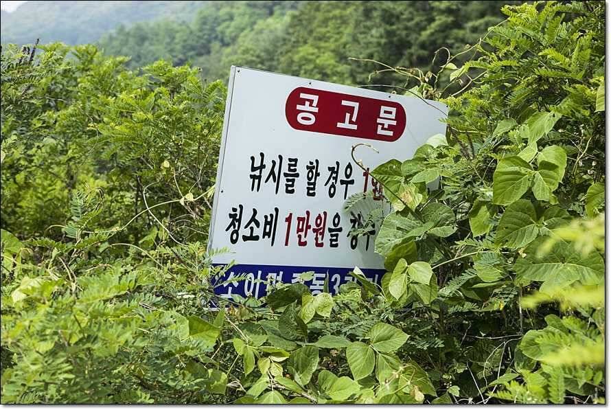 주변 저수지 현황 (조황조행기 - 특파원조황)