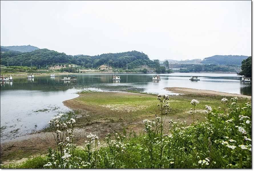 주변 저수지 현황 (조황조행기 - 특파원조황)