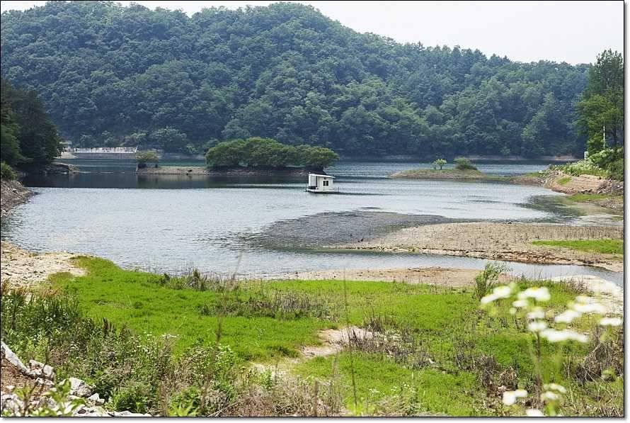 주변 저수지 현황 (조황조행기 - 특파원조황)