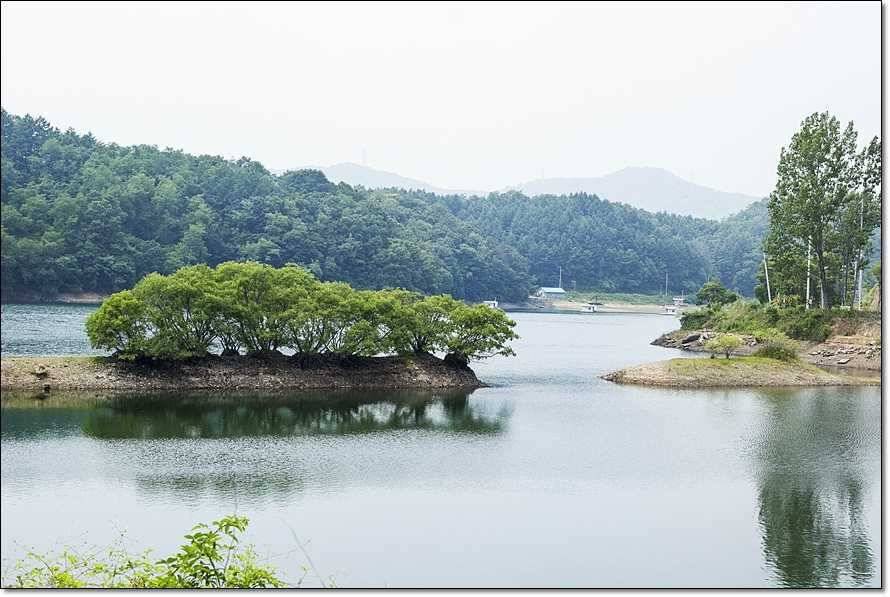 주변 저수지 현황 (조황조행기 - 특파원조황)