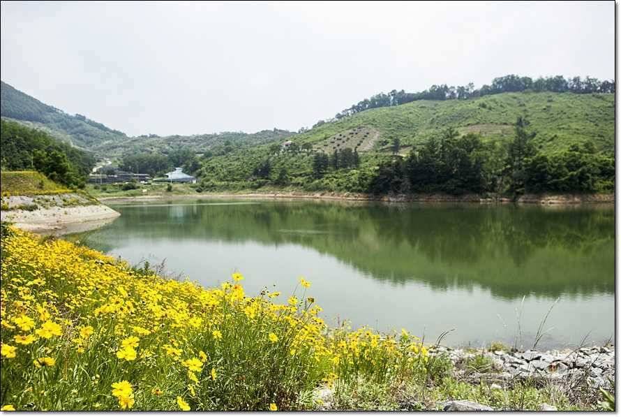 주변 저수지 현황 (조황조행기 - 특파원조황)
