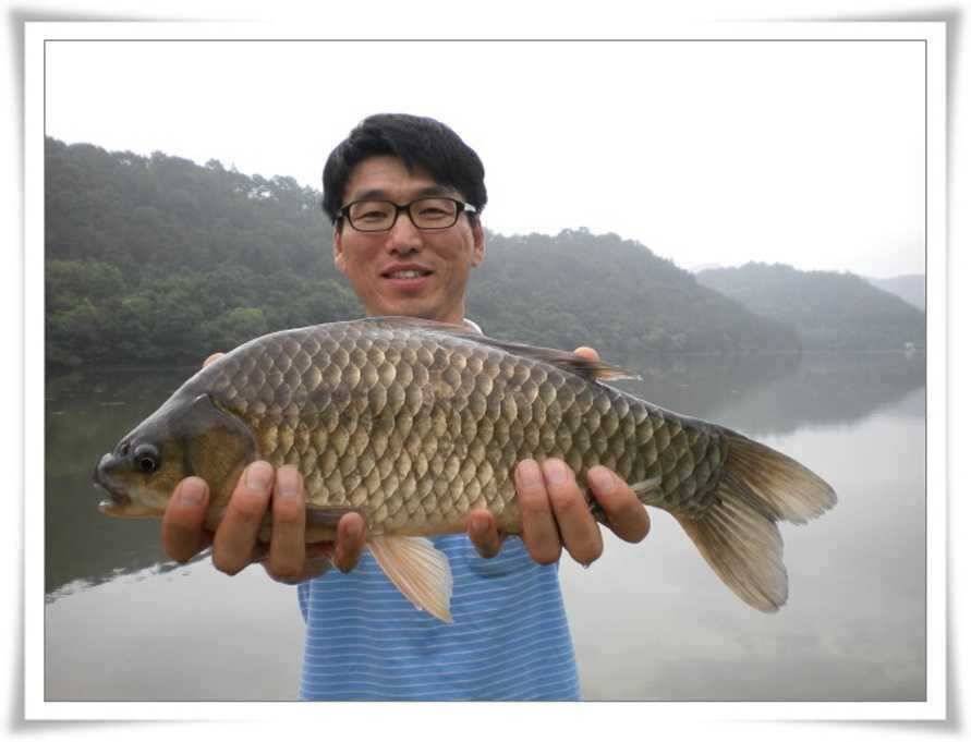 444cm 초대형급 출현 (조황조행기 - 특파원조황)
