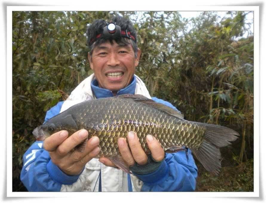 월척이 쏱아져요 (조황조행기 - 특파원조황)