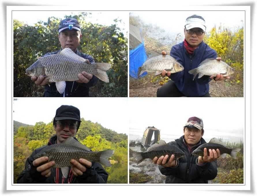 곳곳에서 대물 월척이 (조황조행기 - 특파원조황)