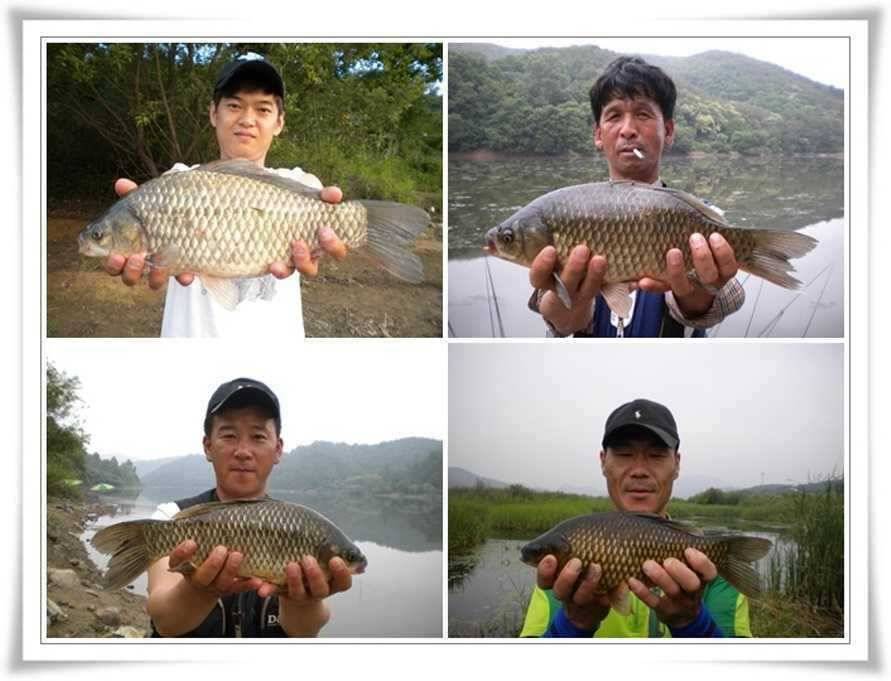 대형급의 출몰 (조황조행기 - 특파원조황)