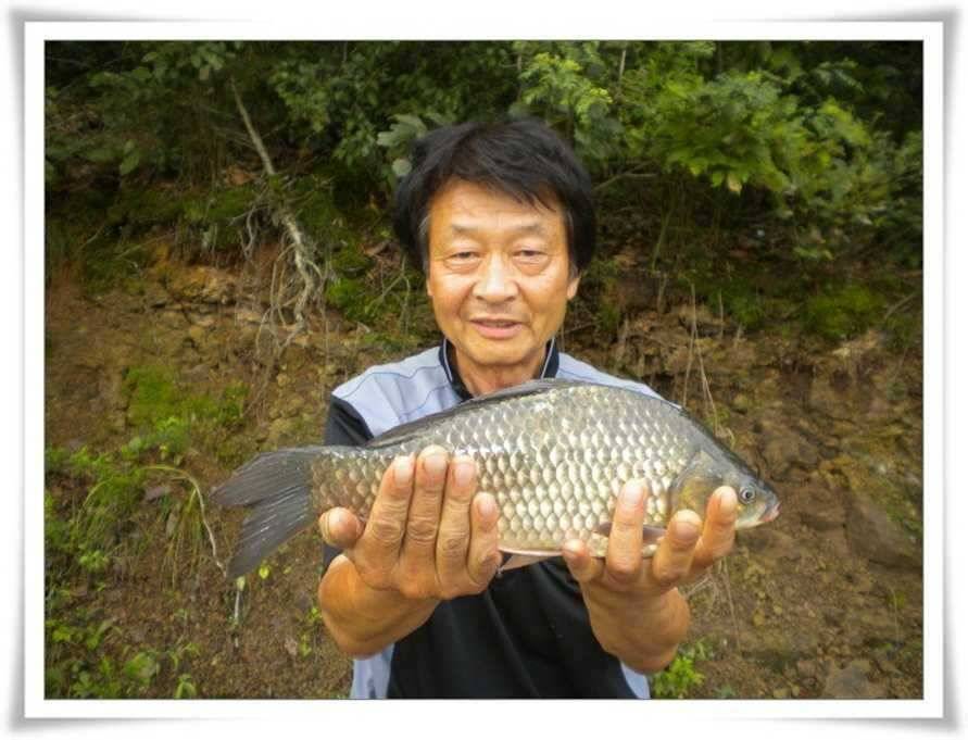 가을시즌시작 375 (조황조행기 - 특파원조황)