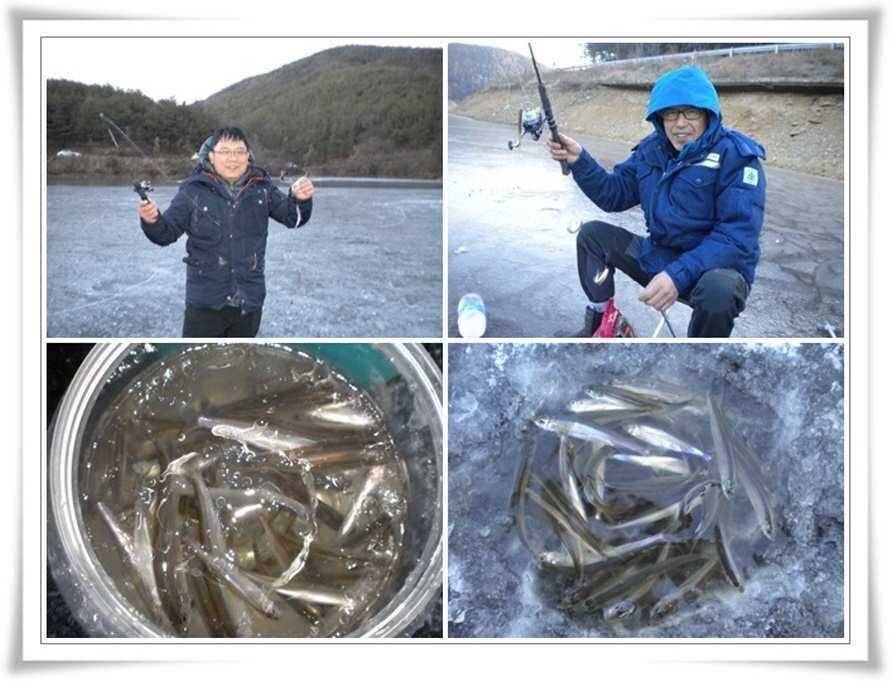 빙어낚시 시작 (조황조행기 - 특파원조황)