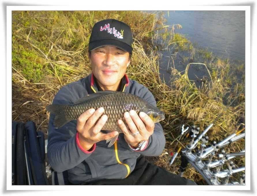 대물의 등장 (조황조행기 - 특파원조황)