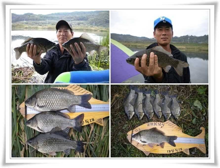 위천강과 소류지조황 (조황조행기 - 특파원조황)