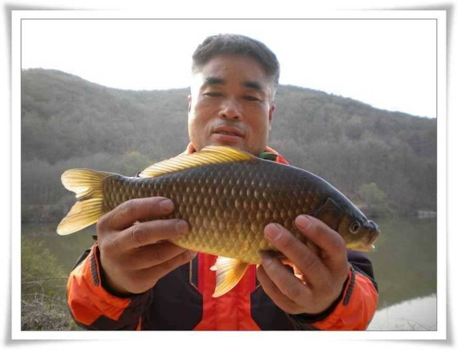 군위권 드디어 대물들이 (조황조행기 - 특파원조황)