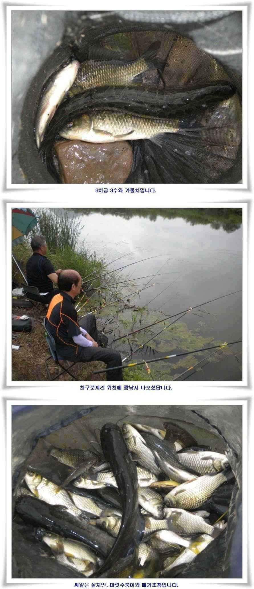 새물찬스 월척6수 초대박조황 (조황조행기 - 특파원조황)