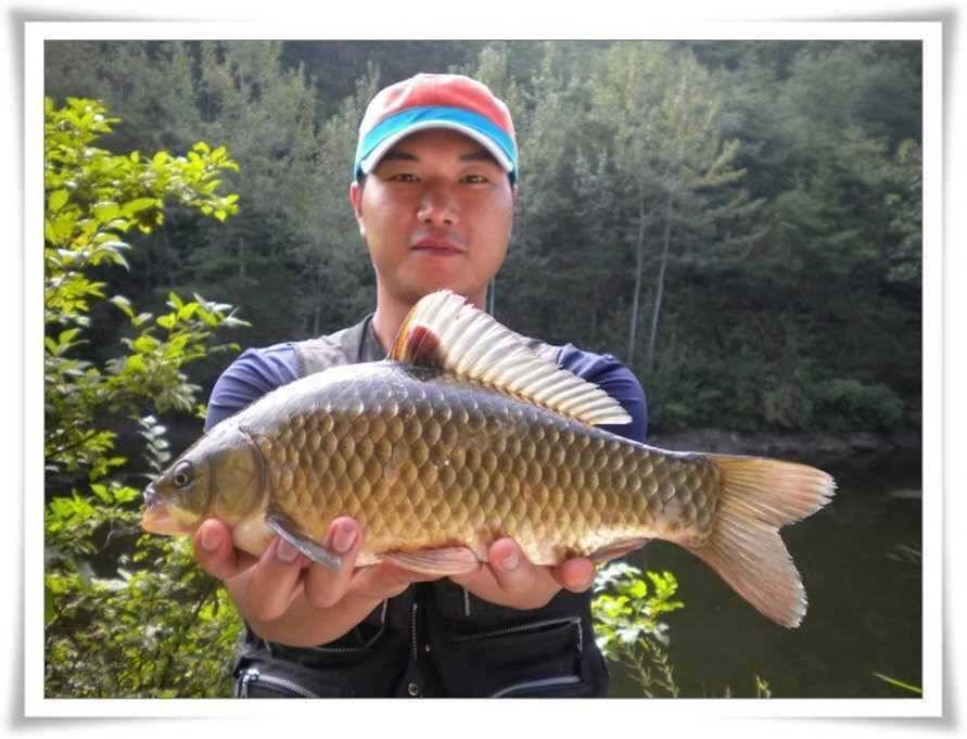 36대물과 가을시즌돌입 (조황조행기 - 특파원조황)