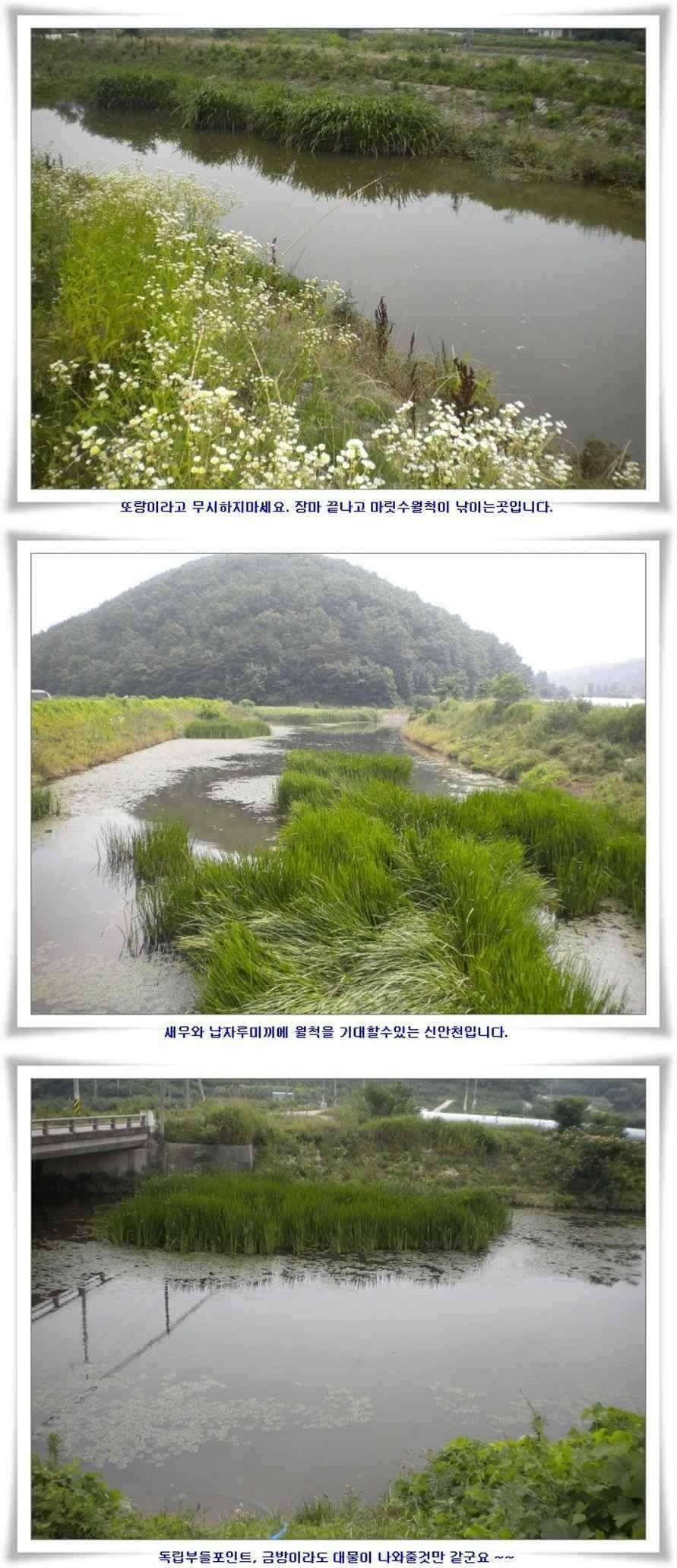 기록경신465 월척행진 (조황조행기 - 특파원조황)