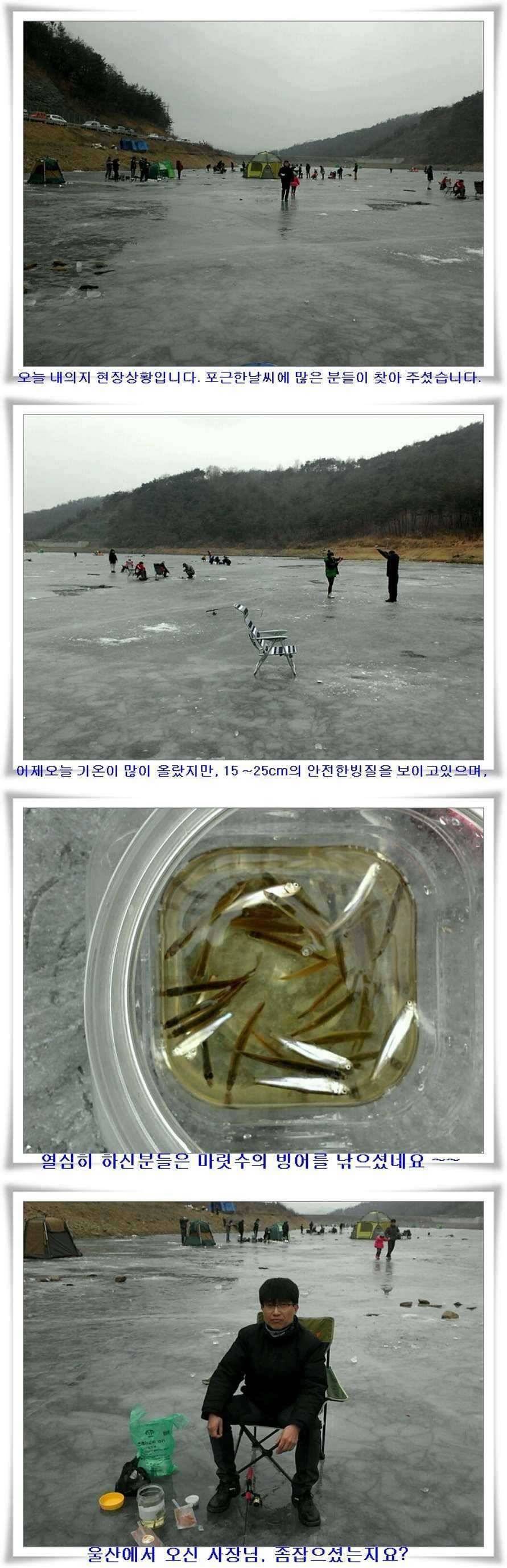 현장상황과 빙어조황 (조황조행기 - 특파원조황)