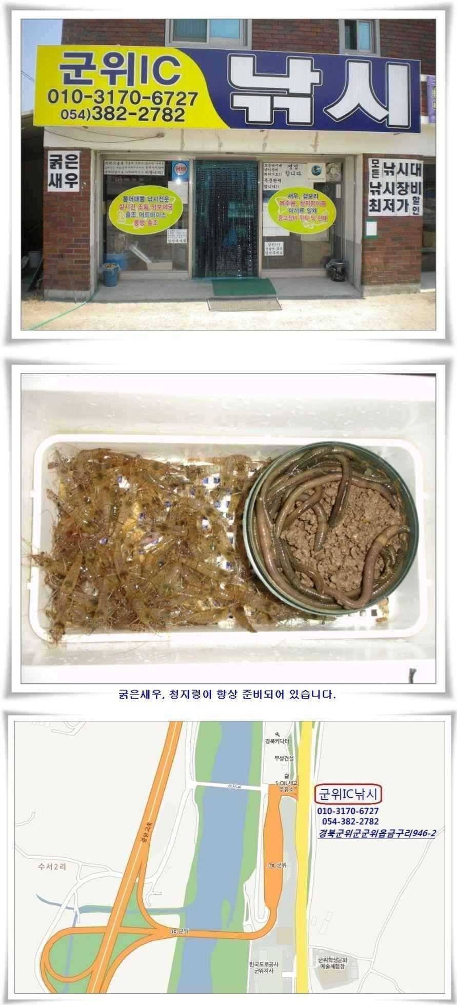 경북 빙어 붕어 얼음낚시 (조황조행기 - 특파원조황)