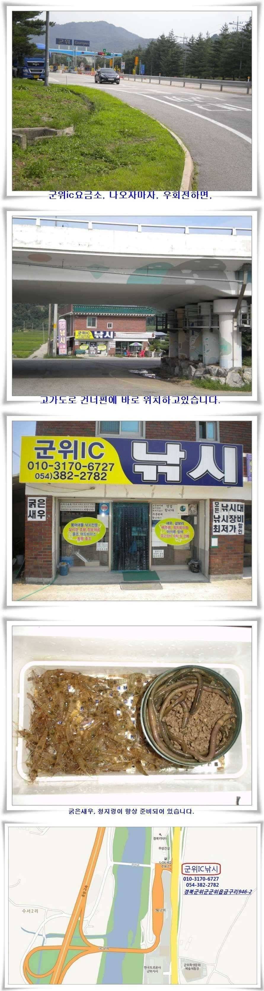 꾸준한 호조황이 (조황조행기 - 특파원조황)