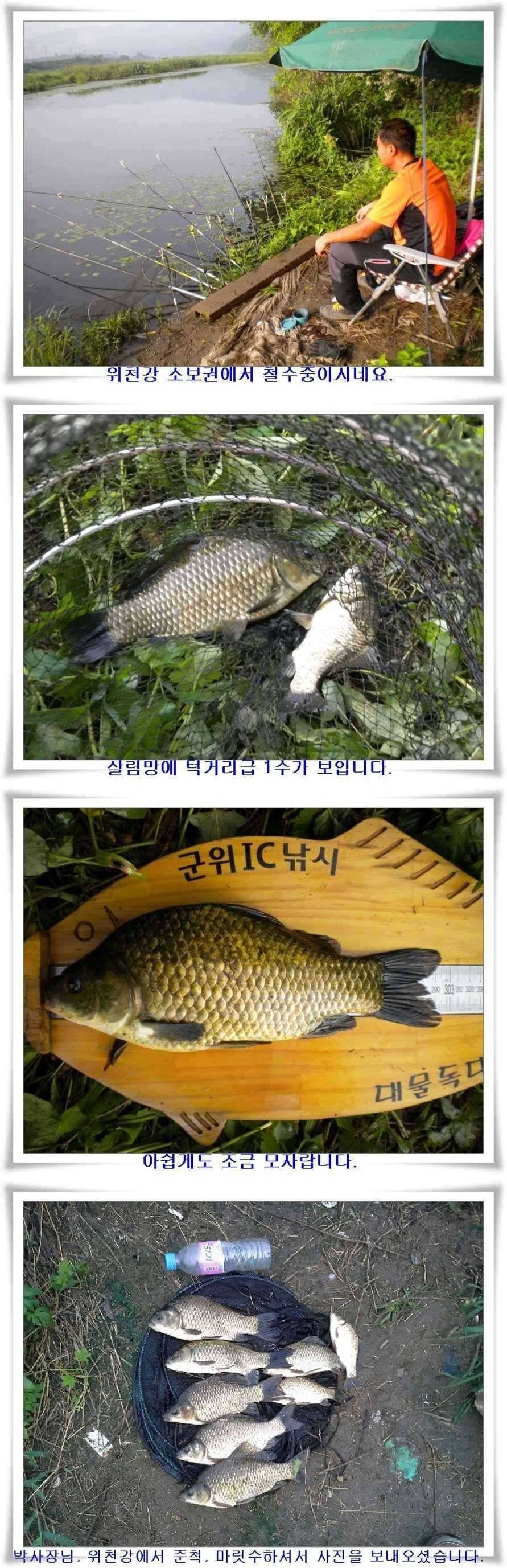더위를 이기는 낚시 (조황조행기 - 특파원조황)