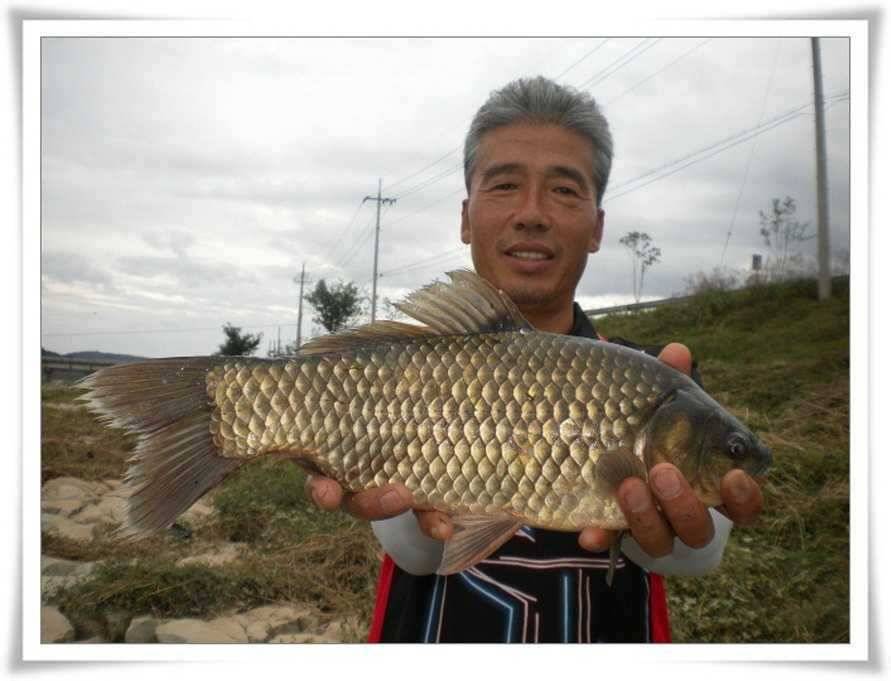 4짜와 마릿수대박 (조황조행기 - 특파원조황)