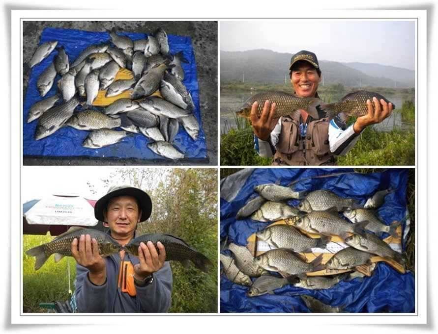 최고의 대박조과 (조황조행기 - 특파원조황)